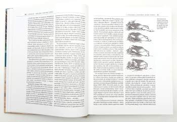 Zdeněk Veselovský: Etologie