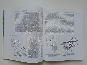 Zdeněk Veselovský: Etologie