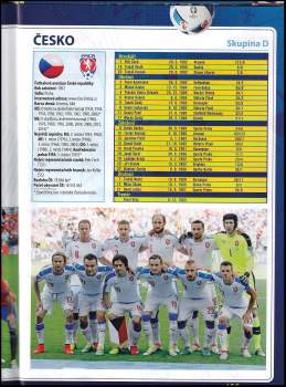 Karel Felt: Euro 2016