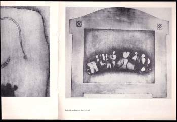 Nina Dvořáková: Eva Bednářová