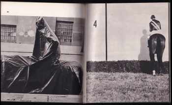 Emanuel Frynta: Eva Fuková