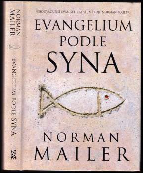 Evangelium podle syna