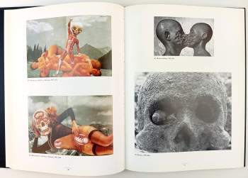 Jan Švankmajer: Evašvankmajerjan