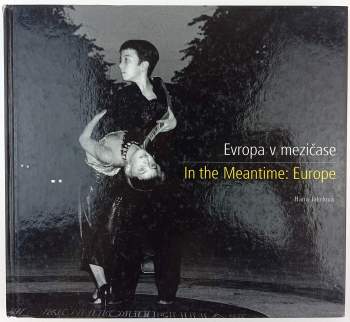 Evropa v mezičase
