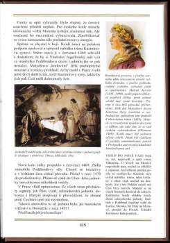 Petr Hora-Hořejš: Evropan Jiří z Poděbrad, král do bouřlivých dob