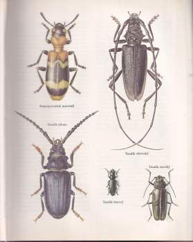 Jiří Felix: Evropská fauna