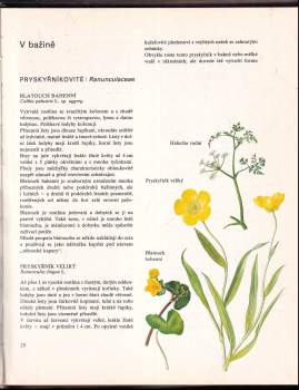 Jan Tříska: Evropská flóra