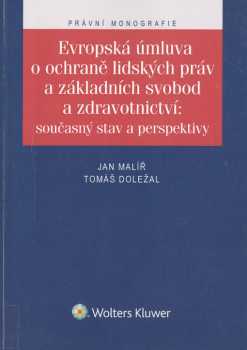 Evropská úmluva o ochraně lidských práv a základních svobod a zdravotnictví: současný stav a perspektivy