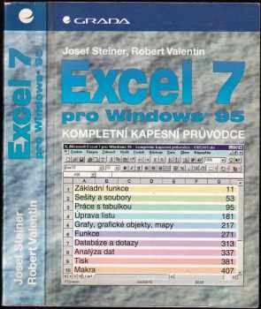 Excel pro Windows 95