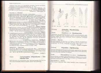 Werner Rothmaler: Exkursionsflora von Deutschland