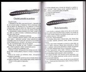 Richard Brautigan: Expres Tokio-Montana