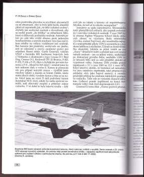 Steve Davies: F-15 Eagle a Strike Eagle