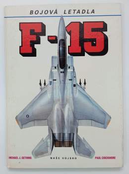 F-15 : Bojová letadla
