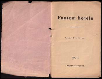 Pitt Strong: Fantom hotelu