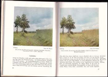Watter Otto: Farben-Foto-Praxis