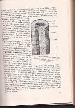 František Antonín Novák: Farmaceutická botanika