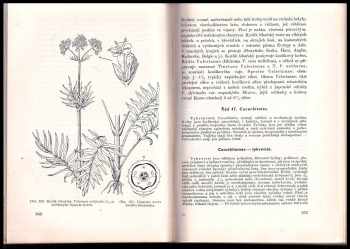 František Antonín Novák: Farmaceutická botanika