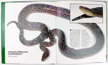 Johan Marais: Fascinující svět hadů