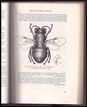 Vladimír Balthasar: Fauna ČSR