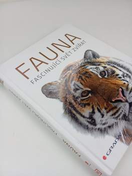 Derek Harvey: Fauna