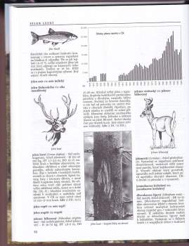 Miloš Anděra: Fauna