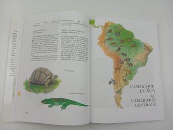 Jiří Felix: Faune Des Cinq Continents