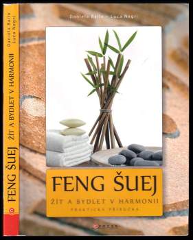 Daniela Bailo: Feng šuej