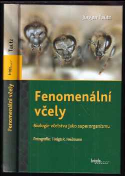 Fenomenální včely