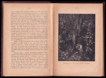 Hernán Cortés: Ferdinand Cortez a dobytí Mexika