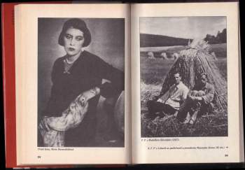 Ferdinand Peroutka: Ferdinand Peroutka - deníky, dopisy, vzpomínky
