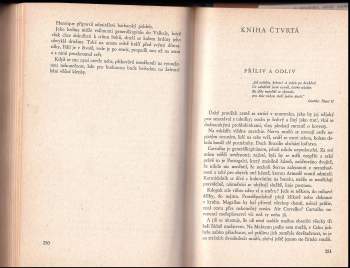 Rudolf Baumgardt: Fernão Magalhães