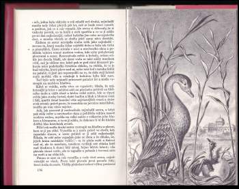 Hans Christian Andersen: Flétnové hodiny