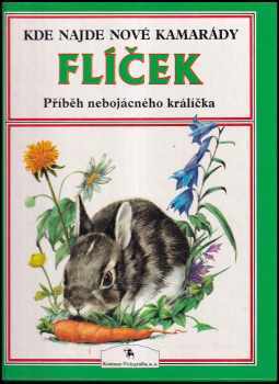 Flíček