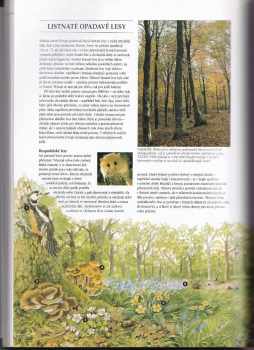 Michael Chinery: Flóra a fauna Evropy