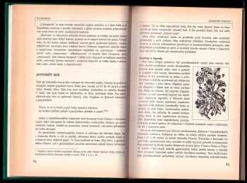Alfredo Cattabiani: Florarium