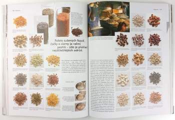 Katrin Wittmann: Food