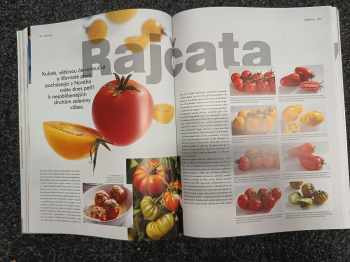 Katrin Wittmann: Food