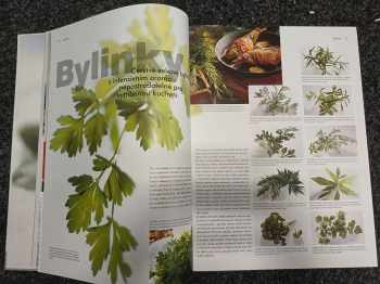 Katrin Wittmann: Food