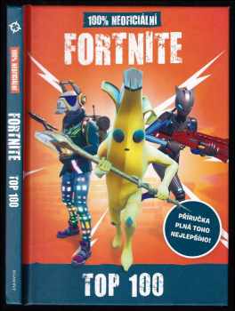 Fortnite : 100% neoficiální top 100