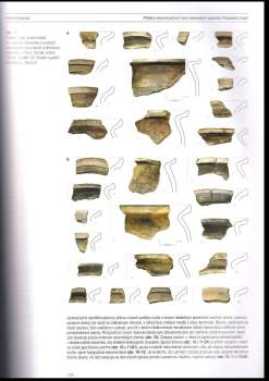 Miroslav Richter: Forum urbes medii aevi X