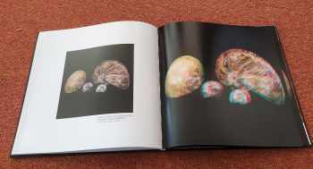 Fossils 3D - minerály