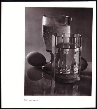 Anna Fárová: Fotograf Josef Sudek