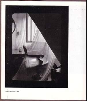 Anna Fárová: Fotograf Josef Sudek