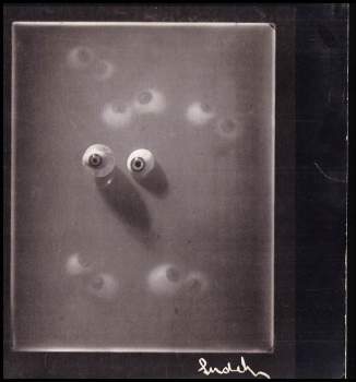 Anna Fárová: Fotograf Josef Sudek