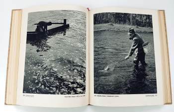 Vladimír Jan Fanderlík: Fotografický obzor, Ročník L.