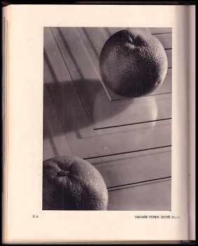 Augustin Škarda: Fotografický obzor - ročník XLVII