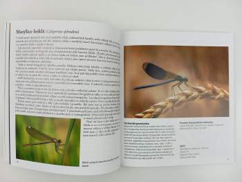 Jan Štěpnička: Fotografujeme přírodu