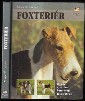 Foxteriér