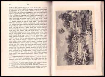 Friedrich Anton Heller von Hellwald: Fr Hellwalda Země a obyvatelé její : iIIustrovaná zeměpisná, dějepisná a národopisná kniha domácí. - Asie