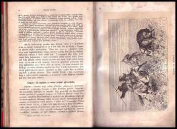 Friedrich Anton Heller von Hellwald: Fr. Hellwalda Země a obyvatelé její - ilustrovaná zeměpisná, dějepisná a národopisná kniha domácí - Amerika